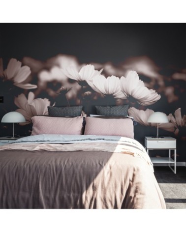 Papier peint panoramique fleurs de cosmos 170 x 250  rose