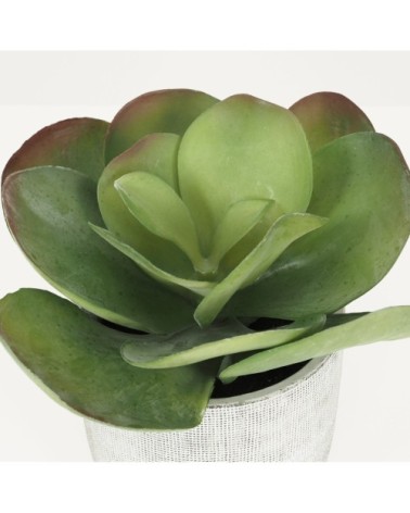 Succulente artificielle kalanchoe lucia 24cm