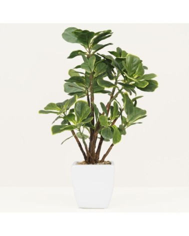 Ficus artificiel lyrata 55cm