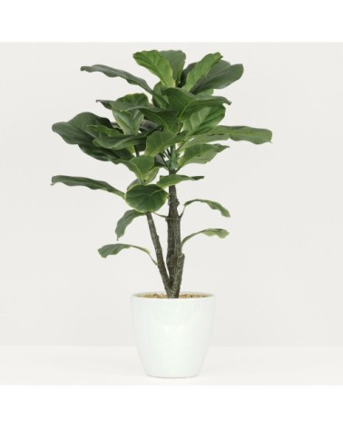 Ficus artificiel lyrata 65cm