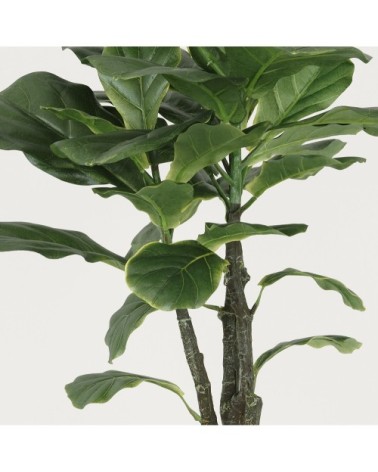 Ficus artificiel lyrata 65cm