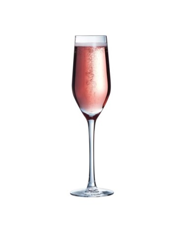 Lot de 6 - flûte à champagne en , 16 cl