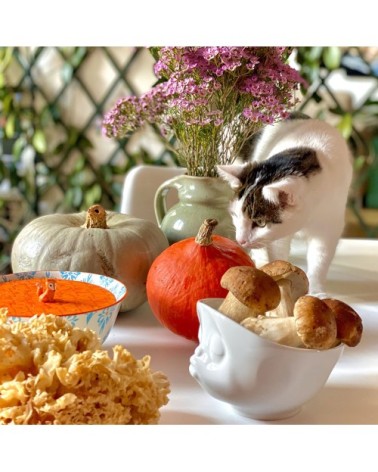 Grand bol en porcelaine bisou 500ml