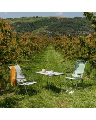 Lot de 2 fauteuils pliants multi-positions en acier beige