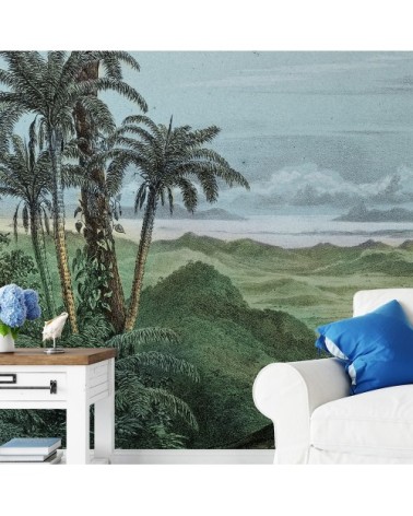 Papier peint panoramique jungle foret Amazonienne 255x260cm