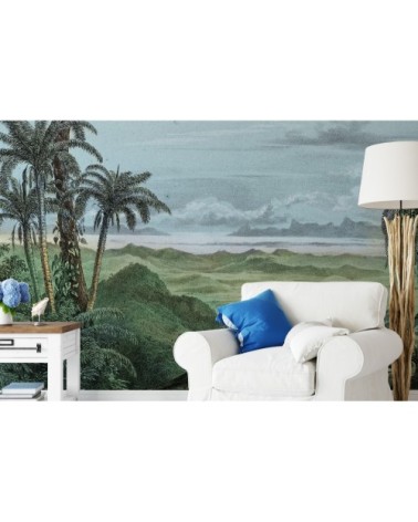 Papier peint panoramique jungle foret Amazonienne 255x260cm