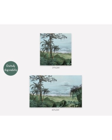 Papier peint panoramique jungle foret Amazonienne 425x260cm