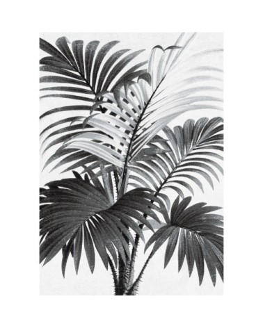 Tableau en verre acrylique 50x70 cm