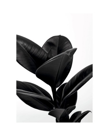 Tableau en verre acrylique 50x70 cm