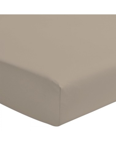 Drap Housse Bonnet 25cm coton Beige