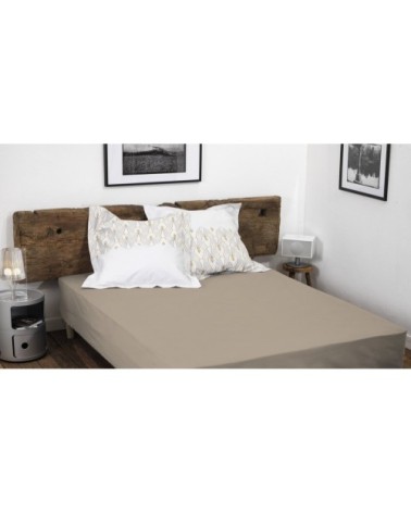 Drap Housse bonnet 25cm coton beige 90x190 cm