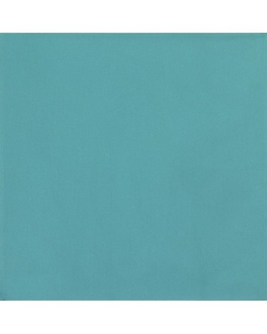 Serviette  pur coton bleu 45x45