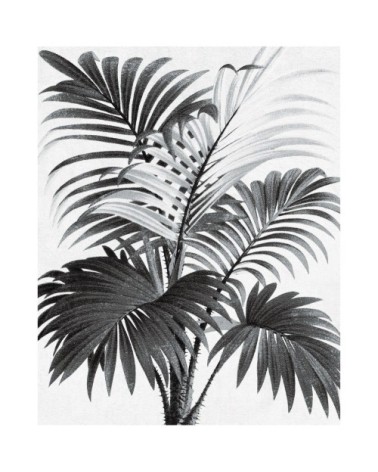 Poster en papier noir et blanc 40x50 cm