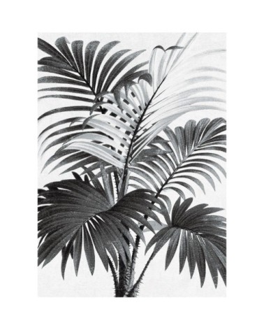 Poster en papier noir et blanc 50x70 cm