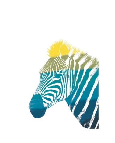 Poster en papier multicolore 50x70 cm