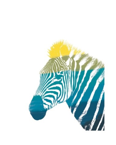 Poster en papier multicolore 40x50 cm