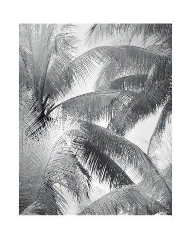 Poster en papier noir et blanc 40x50 cm