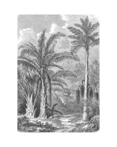 Papier peint panoramique en papier gris 192x275