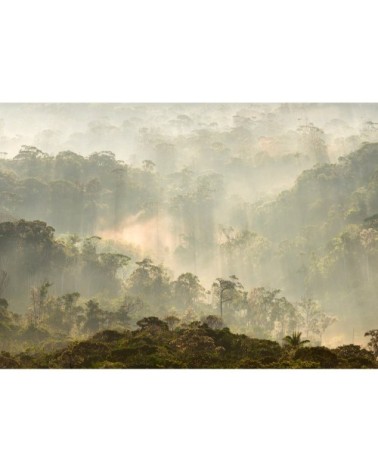 Papier peint panoramique en papier vert kaki 384x270