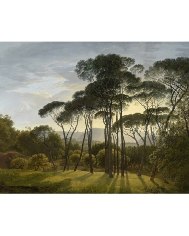 Papier peint panoramique en papier multicolore 336x270