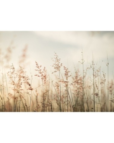 Papier peint panoramique en papier beige clair 384x270