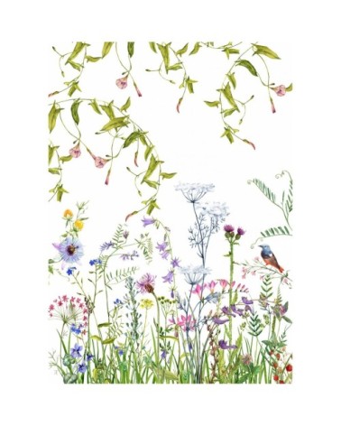 Papier peint panoramique en papier multicolore 192x270