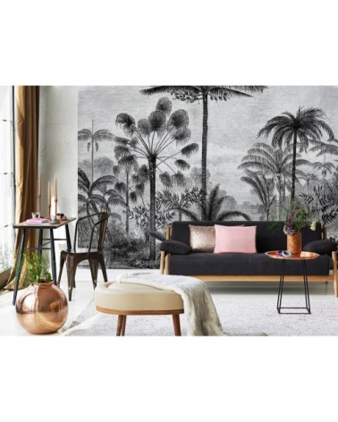 Papier peint panoramique en papier noir 432x300