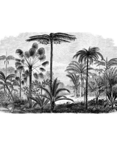 Papier peint panoramique en papier noir 432x300