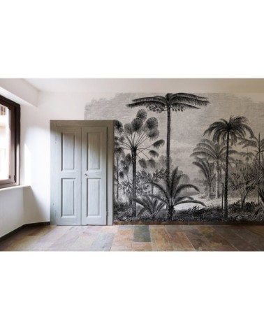 Papier peint panoramique en papier noir 432x300