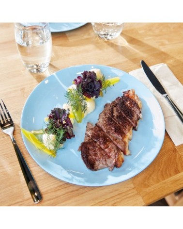 Assiette plate en opale bleu D27cm