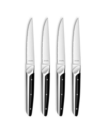 Coffret 4 couteaux steak