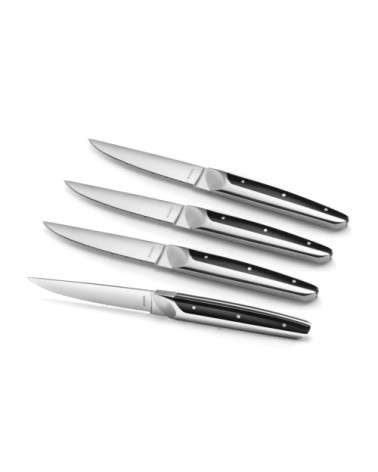 Coffret 4 couteaux steak