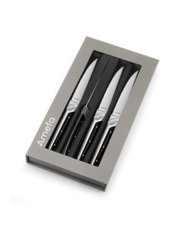Coffret 4 couteaux steak
