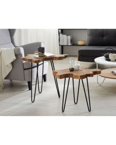 Lot de 2 tables basses en bois