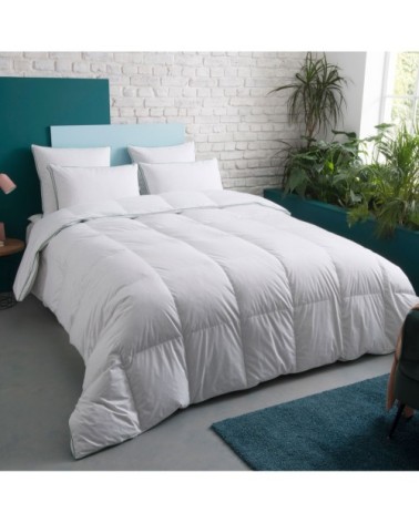 Couette CHAUDE 50% Duvet - Coton  220x240 cm - Wake Me Green