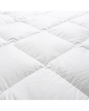 Couette TEMPÉRÉE 50% Duvet - Coton  220x240 cm - Wake Me Green