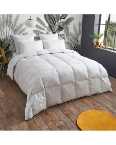 Couette CHAUDE 30% Duvet - Coton  140x200 cm - Wake Me Green