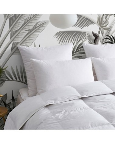 Oreiller FERME 10% Duvet - Coton Bio  50x75 cm - Wake Me Green