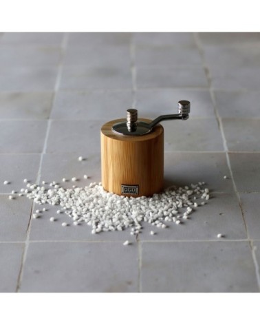 Moulin à sel à manivelle en inox 9 cm