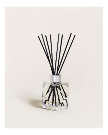 Bouquet Parfumé Geometry Tranparent - Parfum Zeste de Verveine