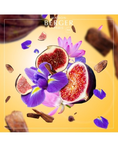 Bougie Amphora Noire parfum Lait de Figue