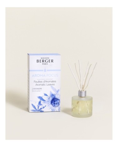 Bouquet Parfumé Aroma Focus