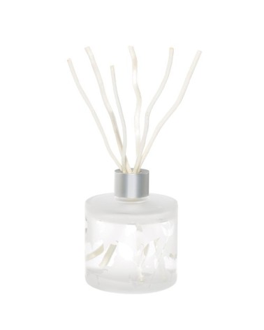 Bouquet Parfumé Aroma Focus