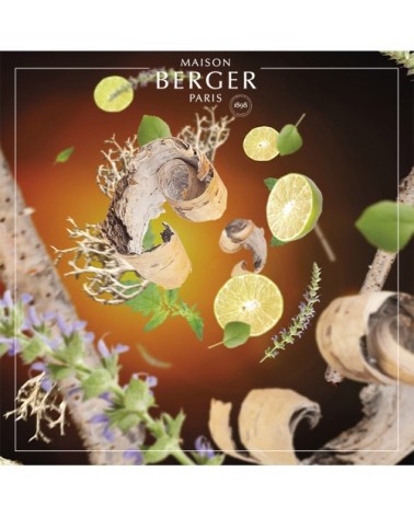 Parfum Lampe Berger Terre Sauvage 500ml