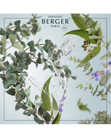 Parfum Bouquet Parfumé Fraîcheur d'Eucalyptus