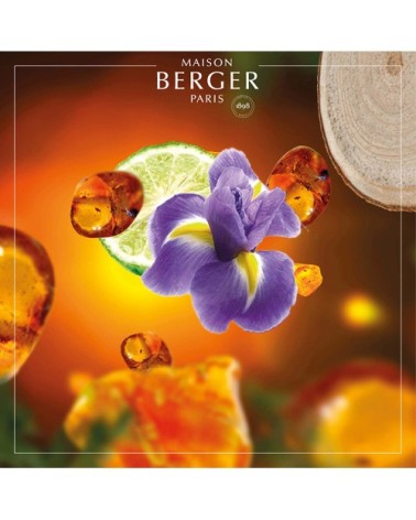 Parfum Lampe Berger Eclantante Bergamote 1L