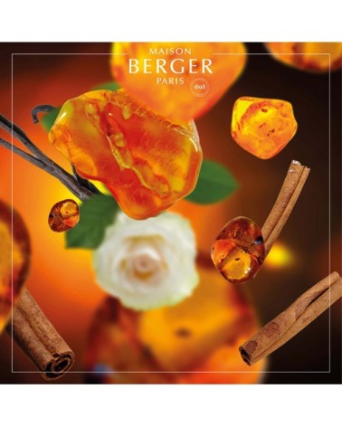 Parfum Bouquet Parfumé Poussière d'Ambre 400 ml