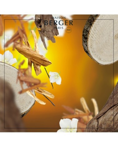 Recharge Bouquet Parfumé Tentation Santal