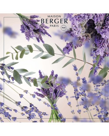 Parfum Lampe Berger 1L Champs de Lavande