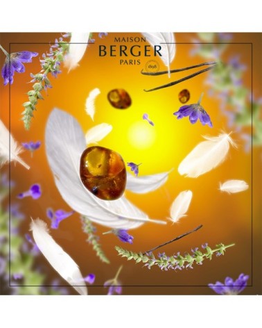 Recharge Bouquet Parfumé Aroma Dream